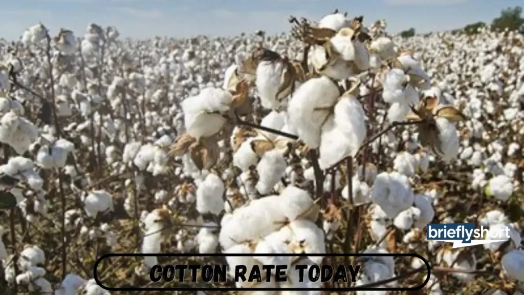 Cotton Price