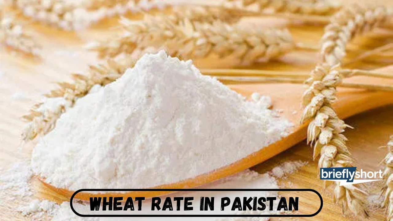 Wheat Price Today in Pakistan 2026 | Updated Gandum (گندم) Rate