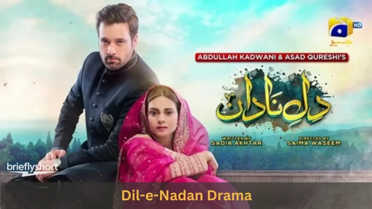 Dil-e-Nadan Drama