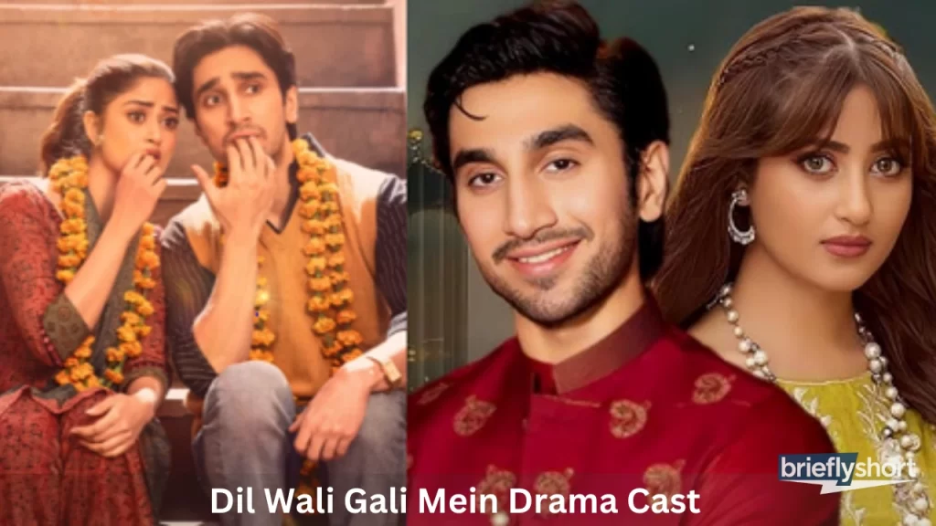 Dil Wali Gali Mein Drama Cast