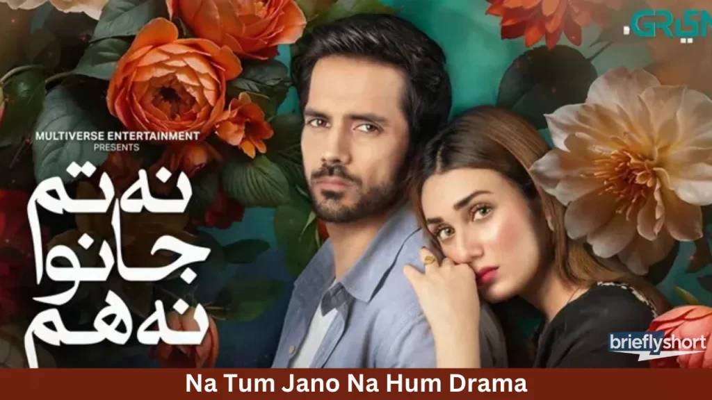 Na Tum Jano Na Hum Dram, Episode