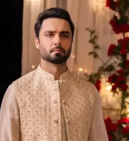 Ahmed Ali Akbar