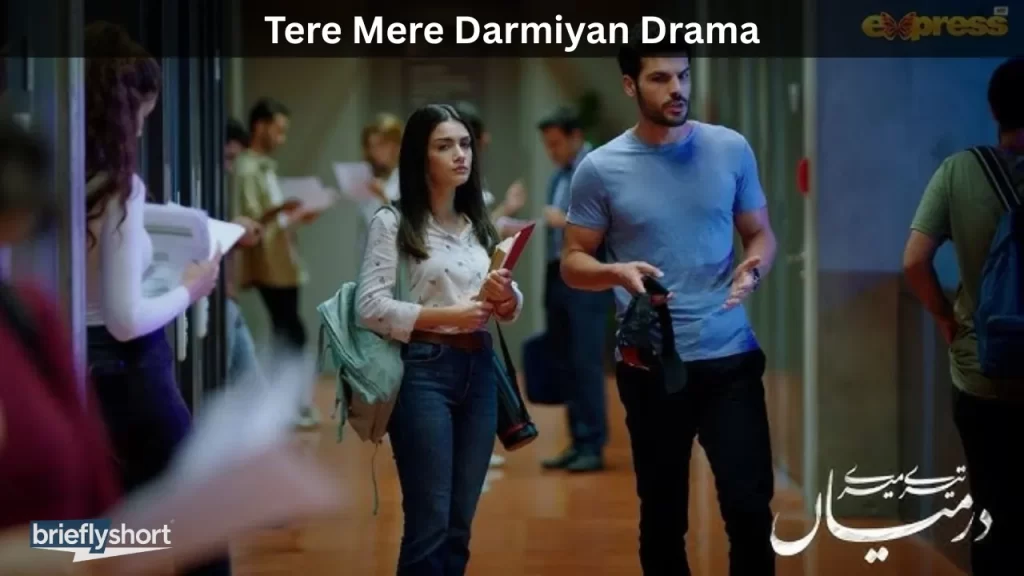 Tere Mere Darmiyan Drama, Cast